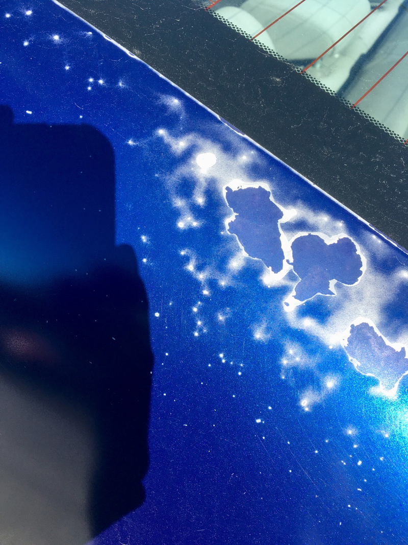 Illustration for article titled Honda Fuji blue, worse and worser.